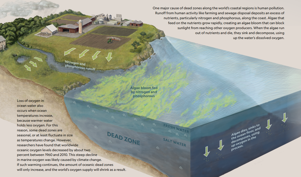 What is a "Dead Zone?"